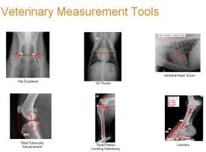 IS4-Vet-Measurement-Tools